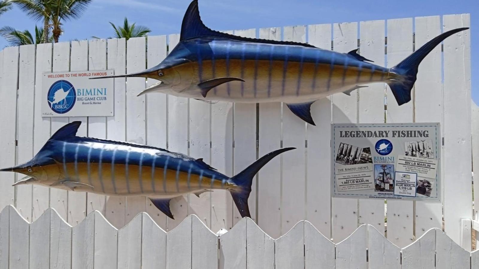 Bimini Big Game Club Resort & Marina Alice Town  Exterior foto